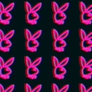 Meet your Posher, Helena